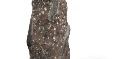 Obelisk Fossil Black